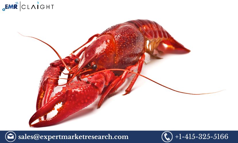 Crayfish Market Size, Share, Trends and Analysis, Report by 2032