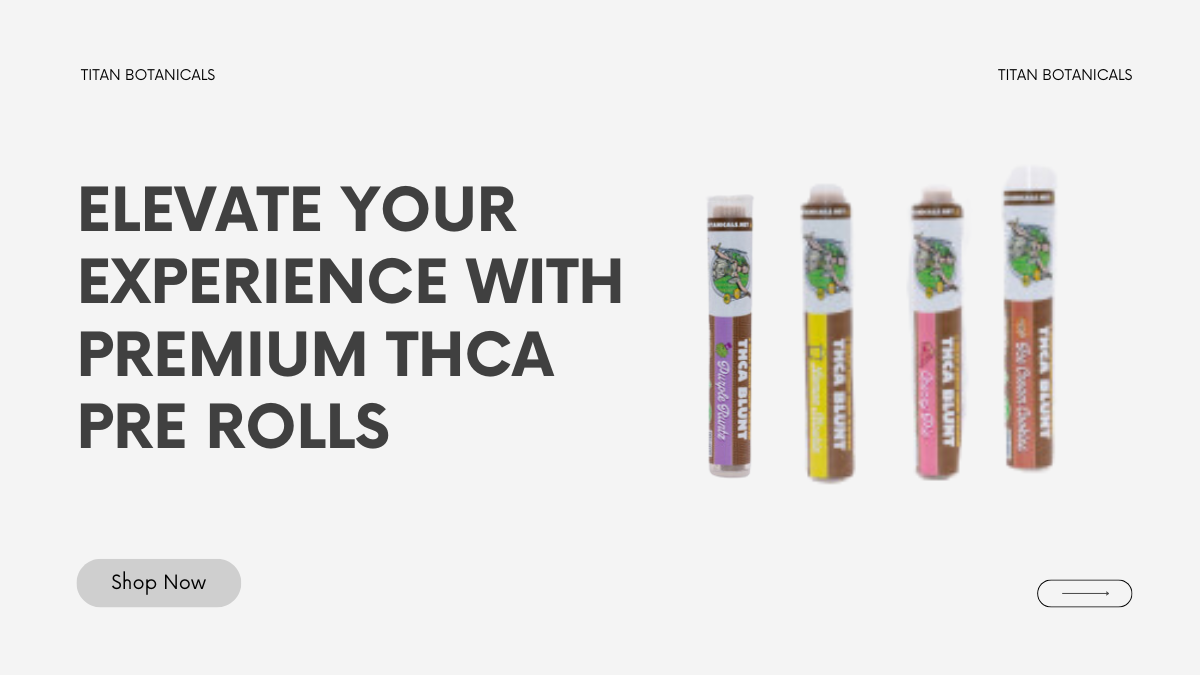 Elevate Your Experience with Premium THCA Pre Rolls