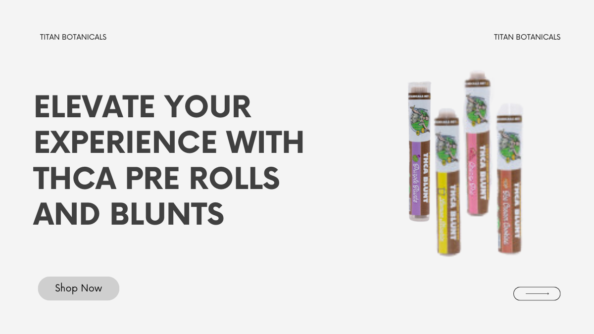 Elevate Your Experience with THCA Pre Rolls and Blunts