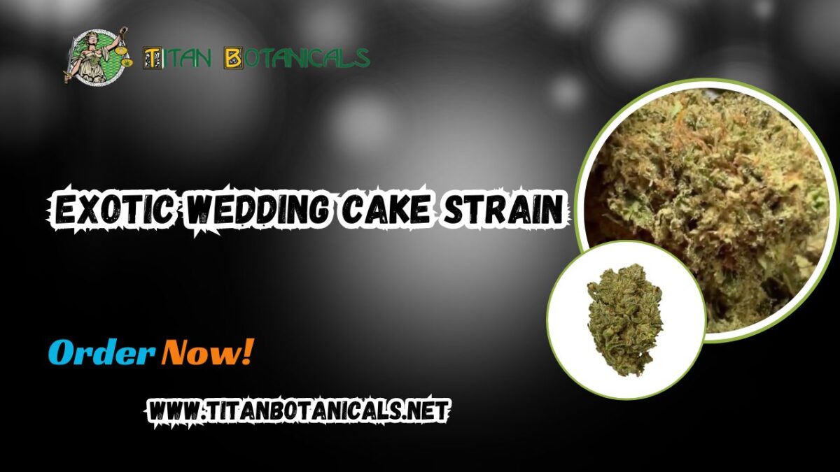 Exotic Wedding Cake Strain