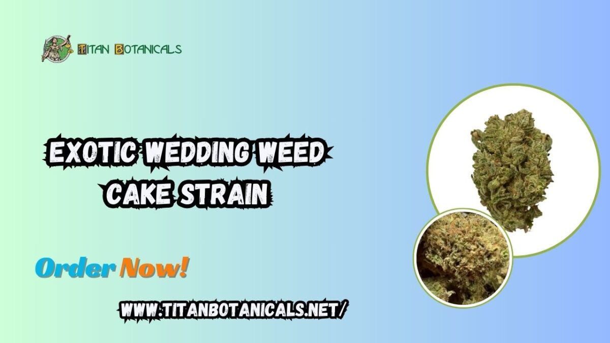 Exotic Wedding Weed Cake Strain