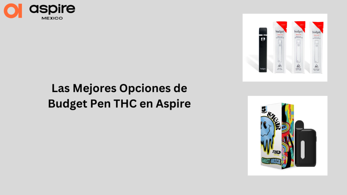 Las Mejores Opciones de Budget Pen THC en Aspire