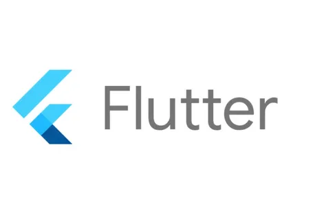 Flutter Developer