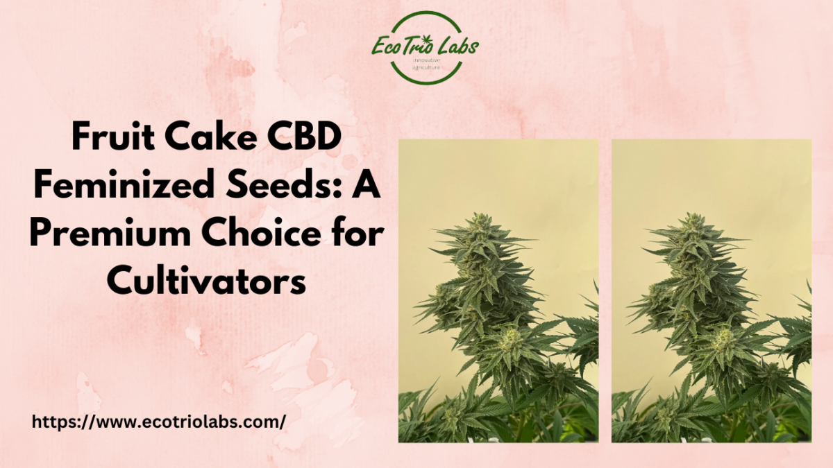 Fruit Cake CBD Feminized Seeds