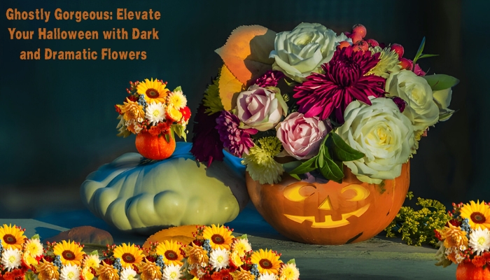 Ghostly Gorgeous: Elevate Your Halloween with Dark and Dramatic Flowers