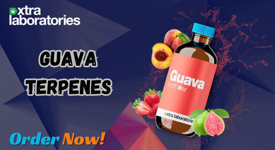 Guava Terpenes: Unlock the Exotic Essence of Nature in Your Products