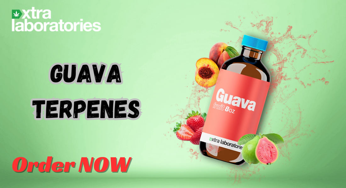 Guava Terpenes: The Tropical Boost Your Products Need