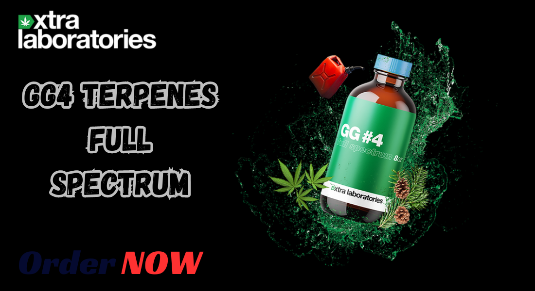 GG4 Terpenes Full Spectrum: Elevate Your Experience with Xtra Laboratories