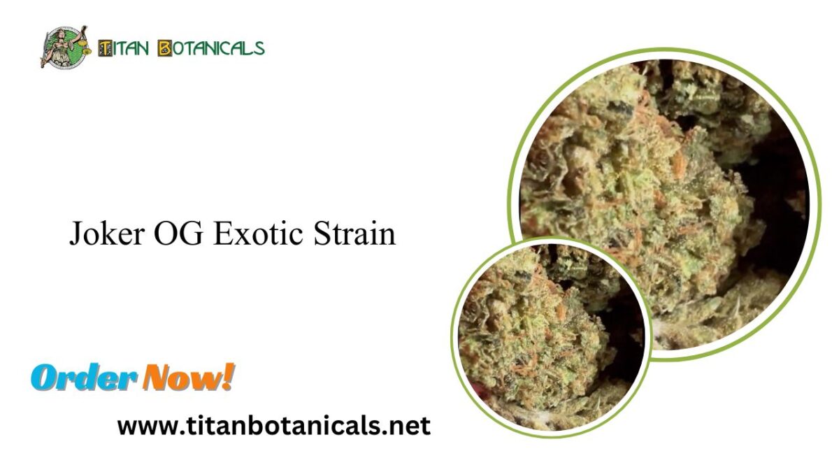 Discover the Joker OG Exotic Strain by Titan Botanicals