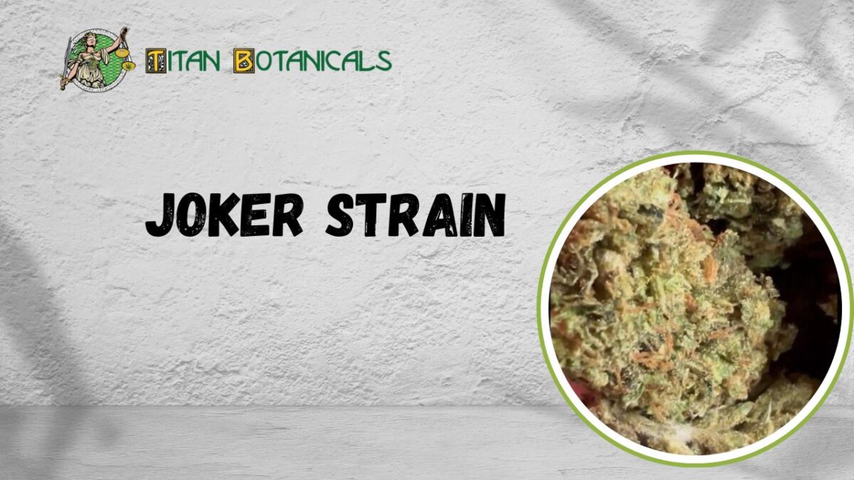 Joker strain