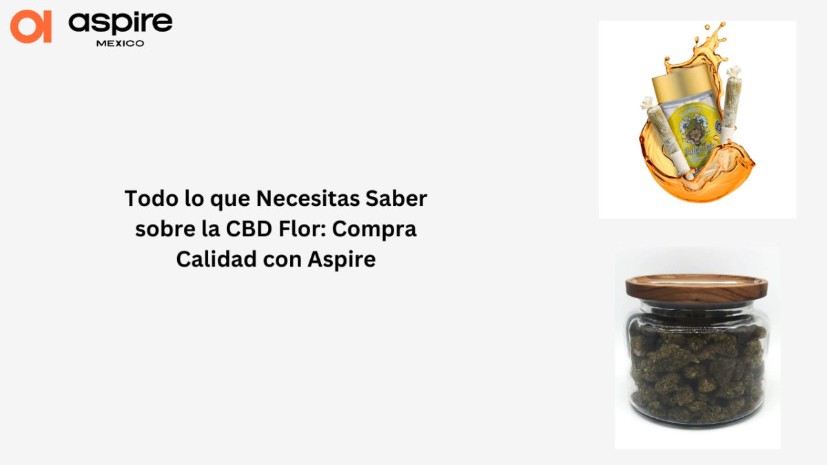 Todo lo que Necesitas Saber sobre la CBD Flor: Compra Calidad con Aspire