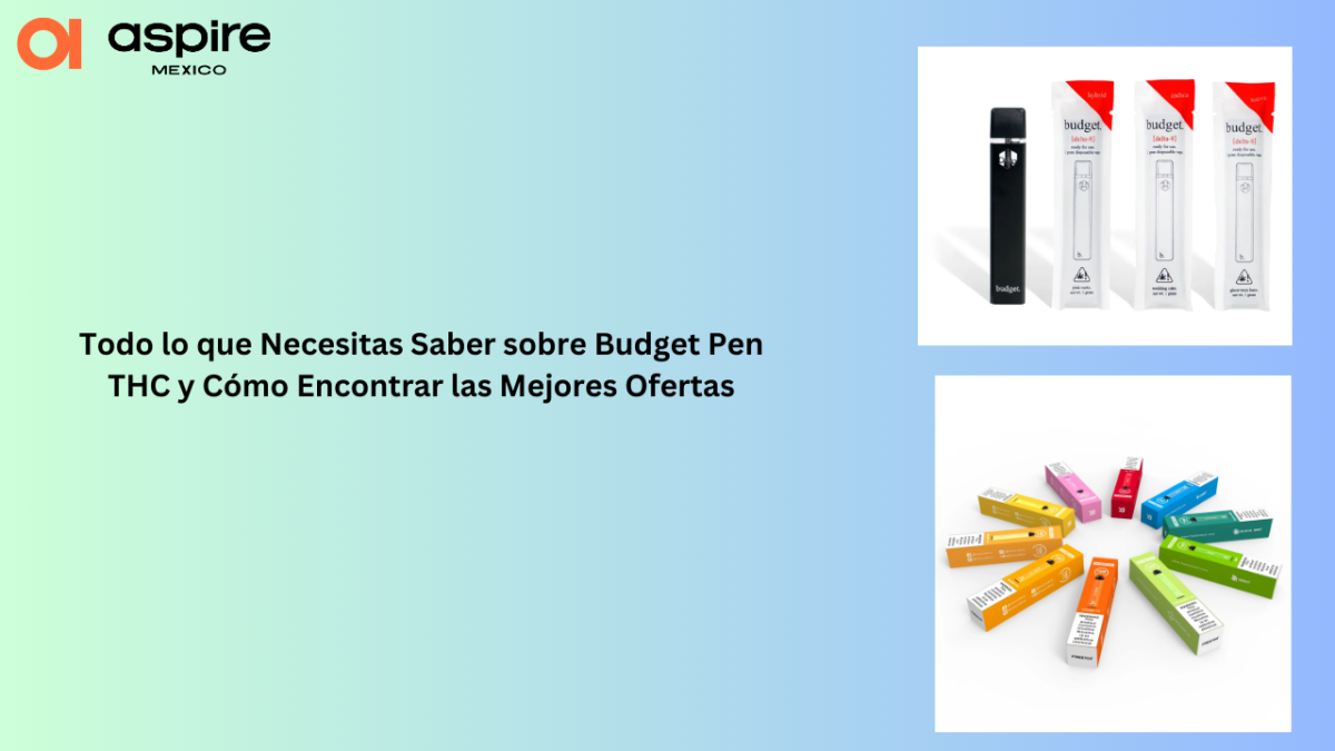 Todo lo que Necesitas Saber sobre Budget Pen THC y Cómo Encontrar las Mejores Ofertas