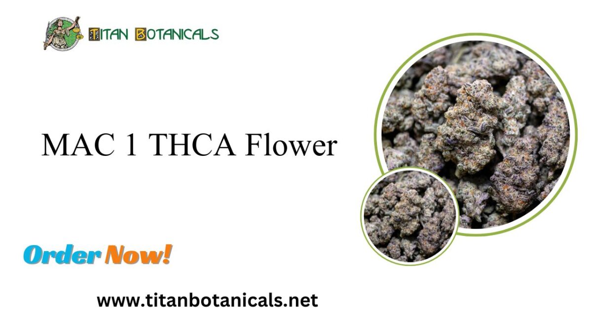 Experience the Premium Quality of 1lb THCA Flower: MAC 1 THCA Flower from Titan Botanicals