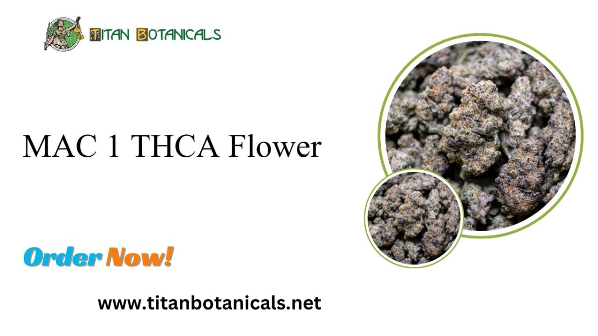 Discover the Superior Quality of MAC 1 THCA Flower: Your Ultimate Bulk Choice