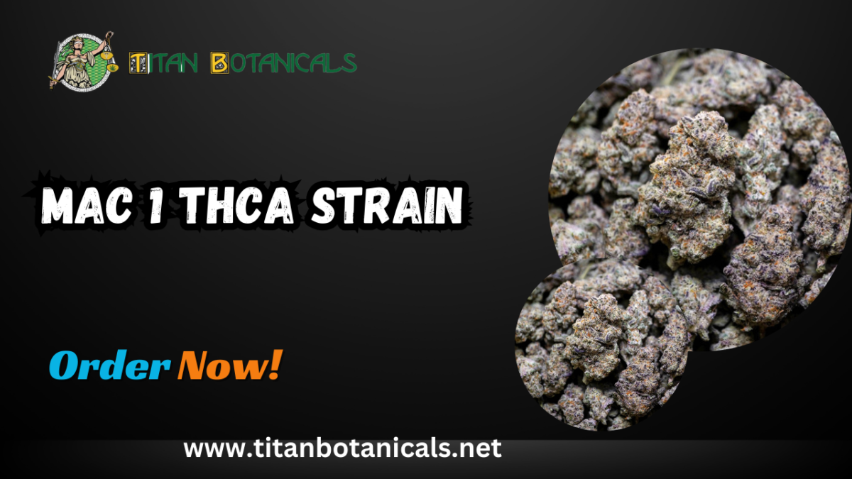 Experience the Premium Quality of MAC 1 THCA Strain from Titan Botanicals