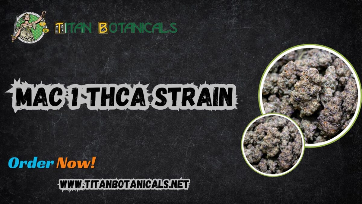 MAC 1 THCA Strain: Your Ultimate Guide to This Premium Flower