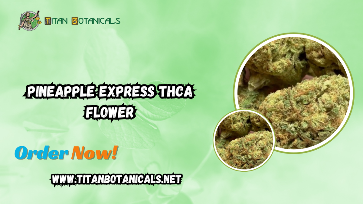 Discover the Best of Pineapple Express THCA Flower: Flavor, Potency, and Quality