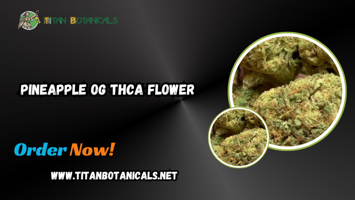 Pineapple OG THCA Flower: A Tropical Adventure in Every Puff