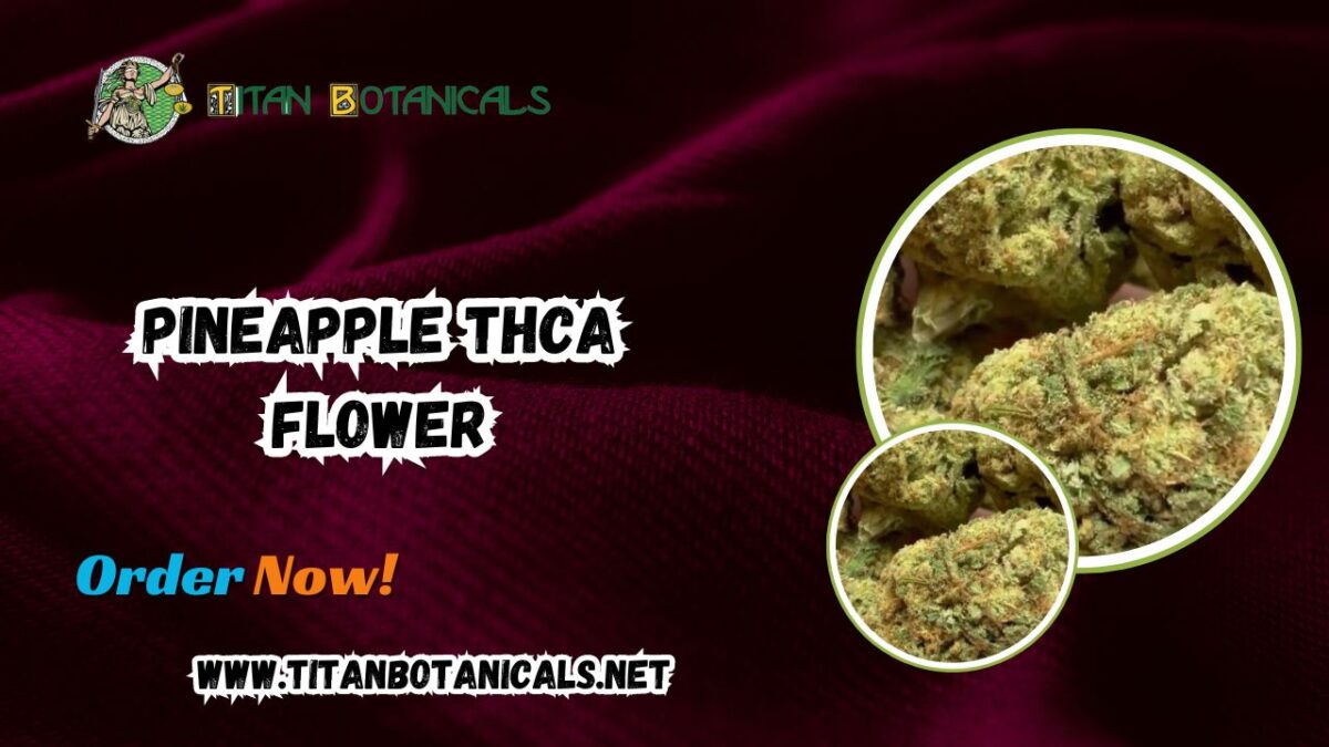 Pineapple THCA Flower: A Tropical Experience Like No Other