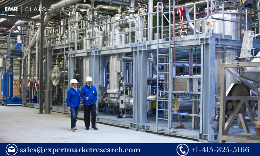 Polylactic Acid Manufacturing Plant Project Report 2024: Industry trends and Plant Setup