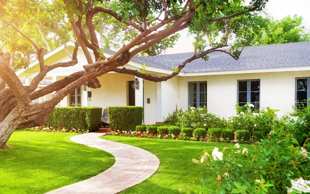 How to Get the Warren Most Out of Residential Tree Services