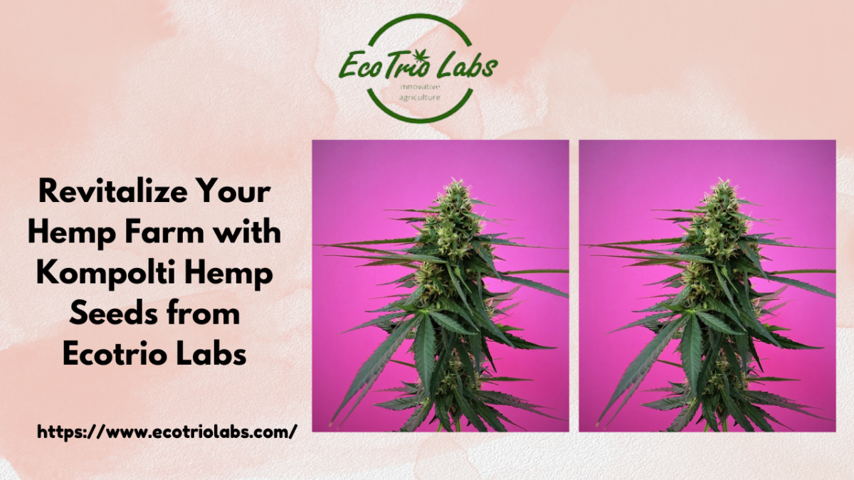 Revitalize Your Hemp Farm with Kompolti Hemp Seeds from Ecotrio Labs