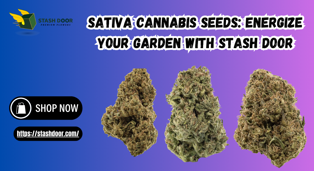 Sativa Cannabis Seeds: Energize Your Garden with Stash Door