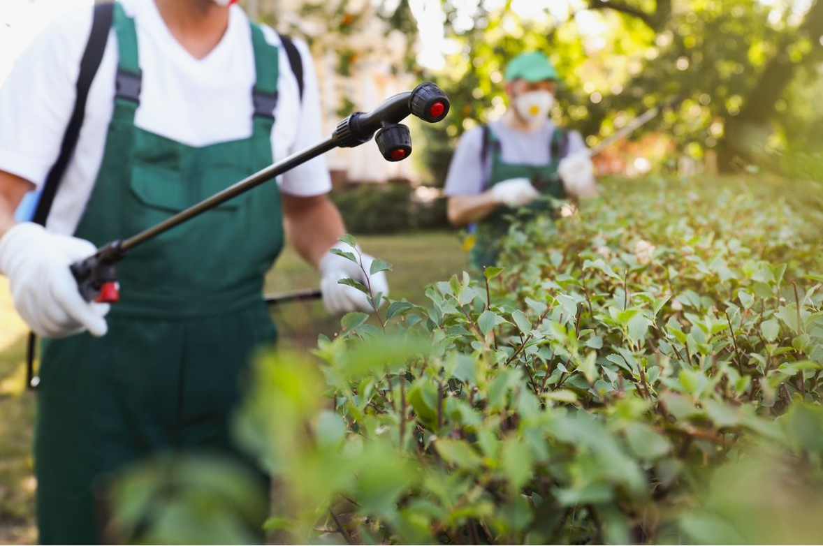 Essential Pest Control for Food Processing Plants