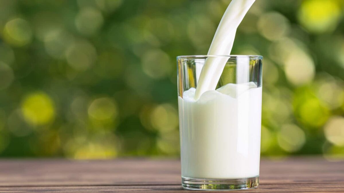 Report on Skimmed Milk Manufacturing Plant Setup with Cost Analysis and Requirements