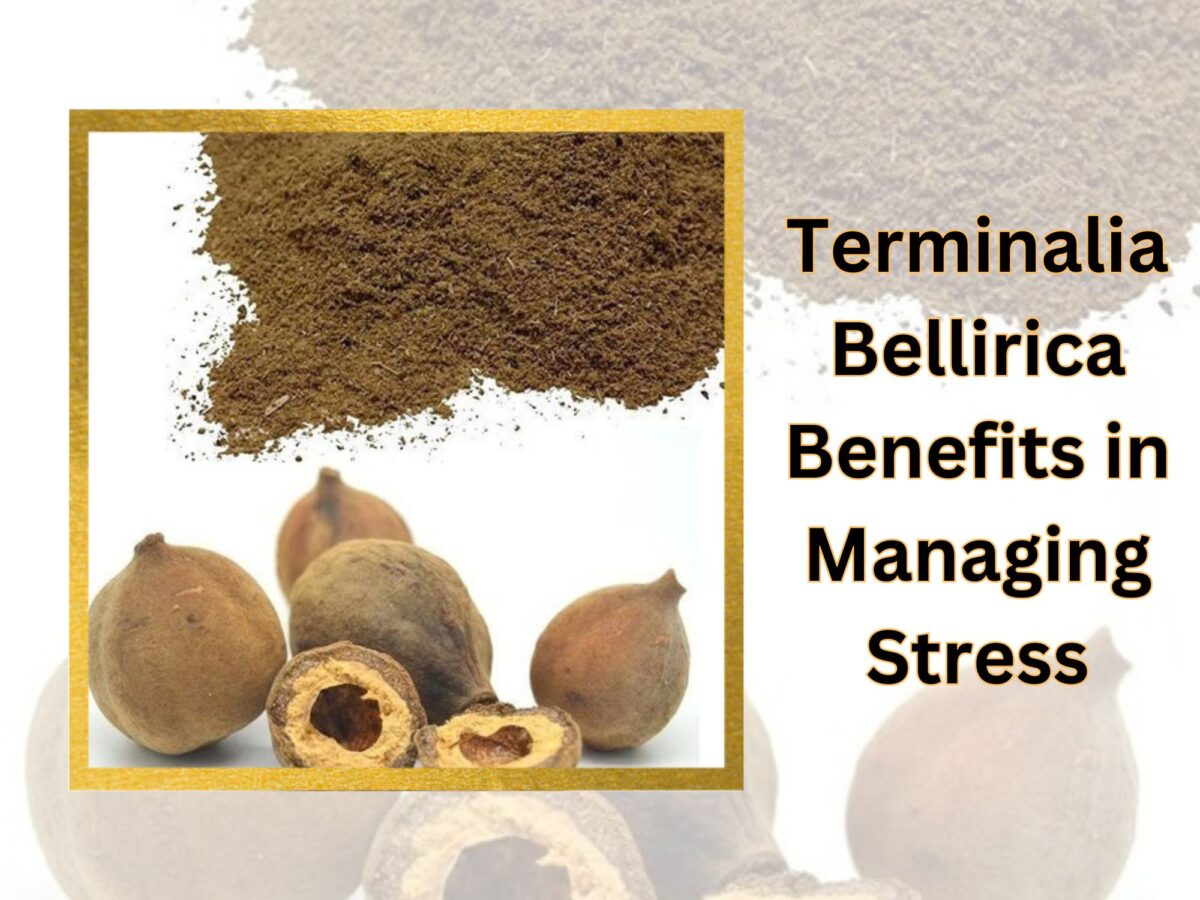 The Role of Terminalia Bellirica Benefits in Managing Stress and Anxiety