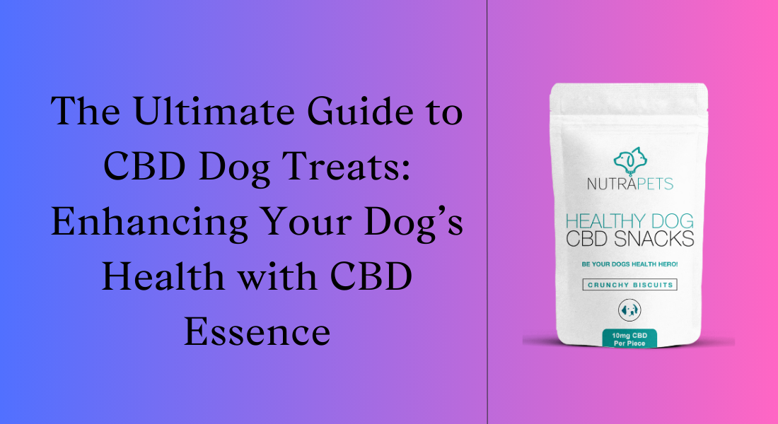 The Ultimate Guide to CBD Dog Treats: Enhancing Your Dog’s Health with CBD Essence