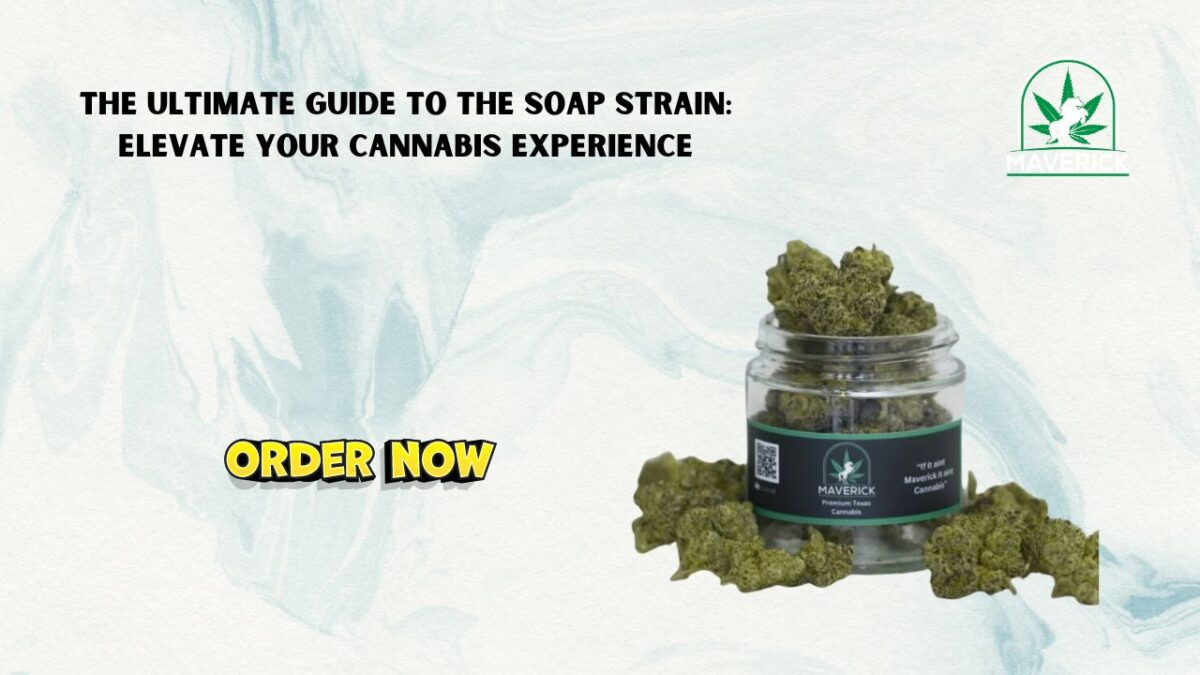 SOAP Strain