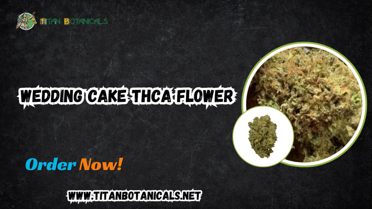 Experience with Exotic Wedding Cake Strain: A Comprehensive Guide to Wedding Cake THCa Flower