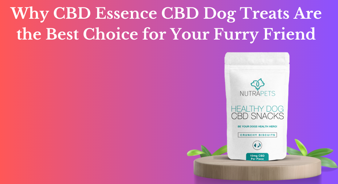 Why CBD Essence CBD Dog Treats Are the Best Choice for Your Furry Friend