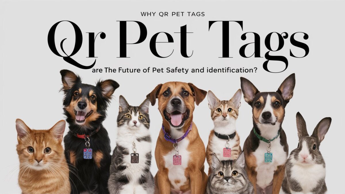 Why QR Pet Tags Are the Future of Pet Safety and Identification?