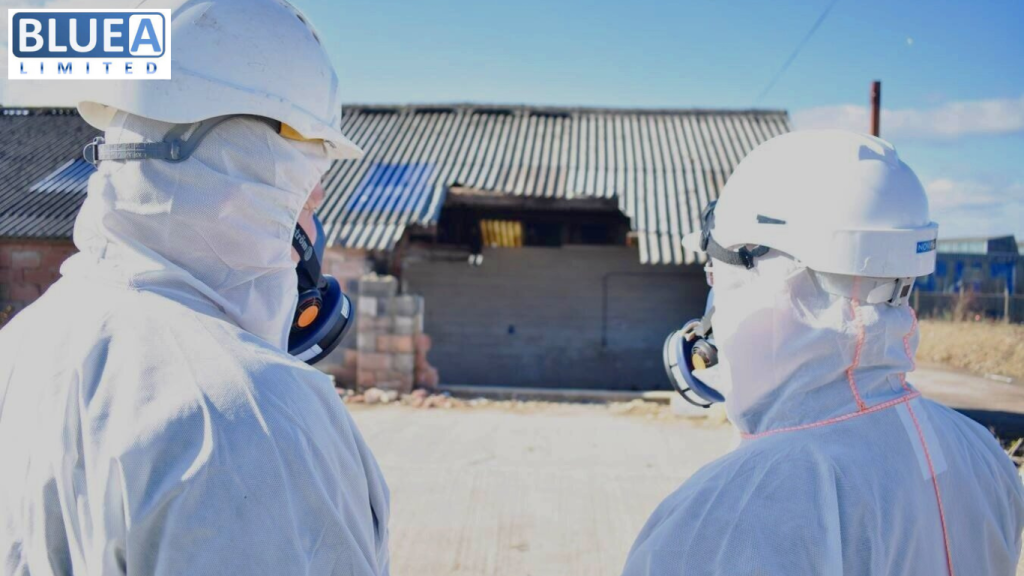 The Importance of an Asbestos Survey in London