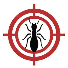 Mastering Mosquito Control: Effective Strategies for a Bite-Free Environment”