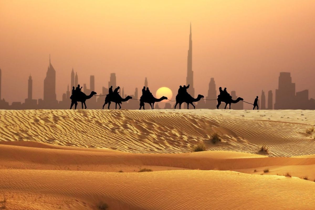 Best Camel Racing Predictions Platform for Accurate Bets