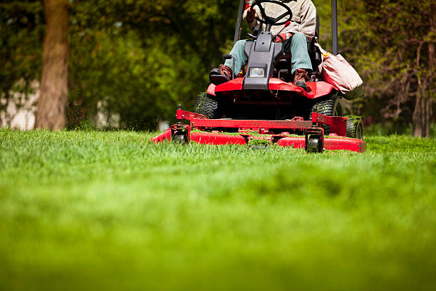 Transform Your Outdoor Space with Professional Lawn Care