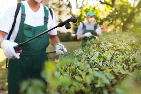 The Importance of Pest Control in Food Processing Plants