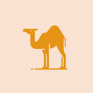 Best Camel Racing Predictions Platform