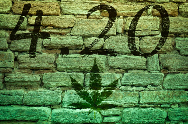 What Is the Meaning of 420 in Popular Culture?