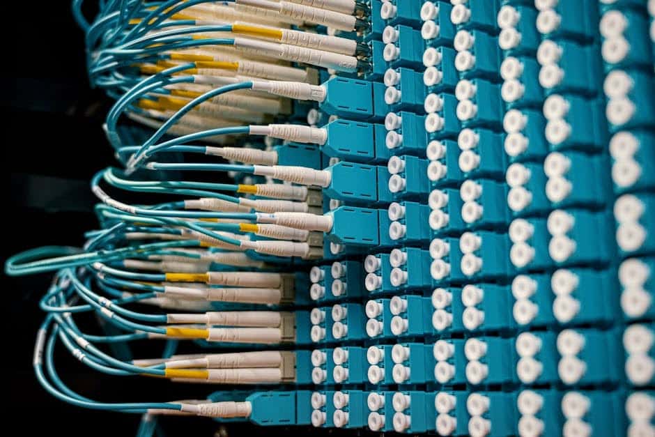 What factors to consider when selecting network cabling?