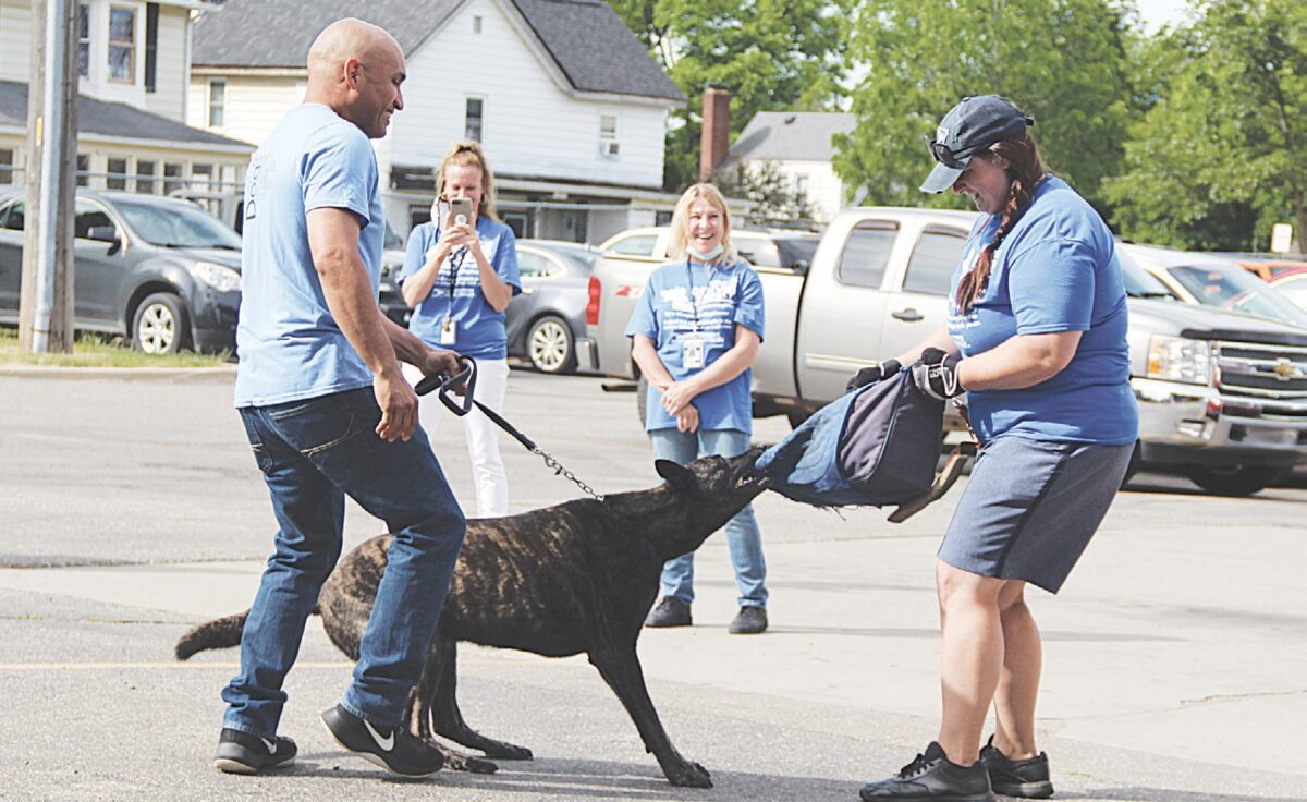 lone worker dog bite prevention