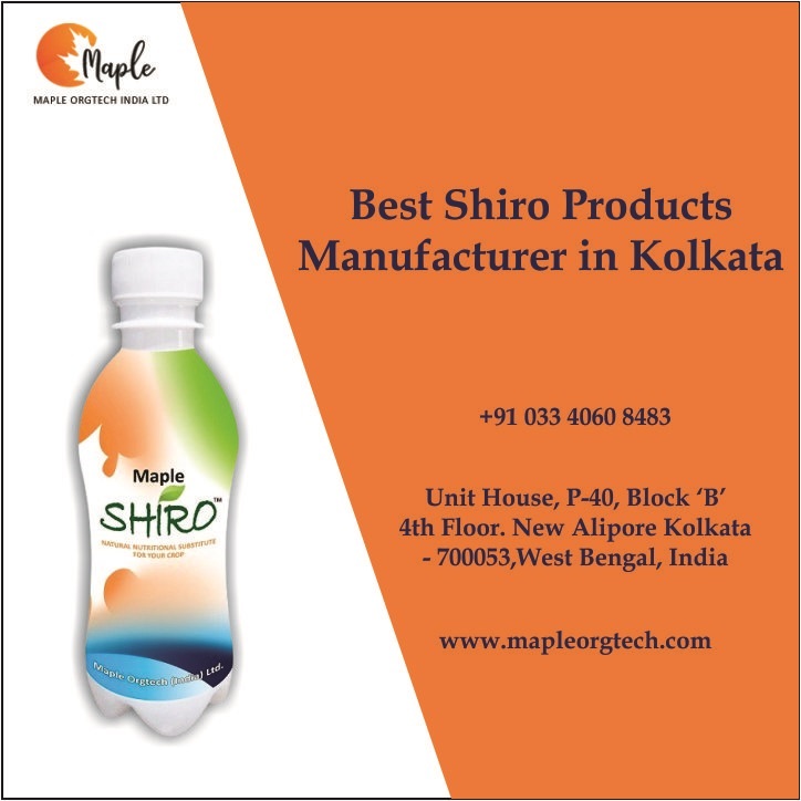 Best Shiro Products Manufacturer in Kolkata, Maple Shiro Products Suppliers in Kolkata