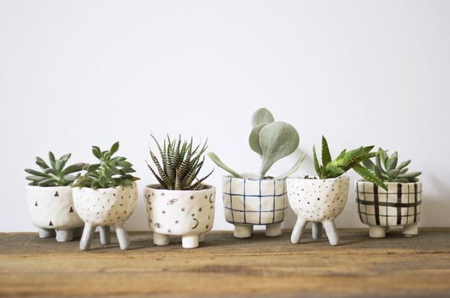 A collection of small pots containing various types of succulents arranged together.