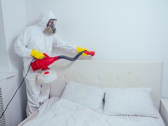 How to Identify the Right Pest Control Service for Your Needs