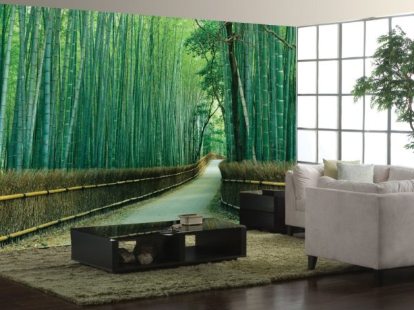 3D Wall Murals