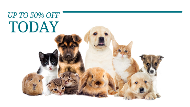 Explore Quality Pet Products Online Australia for Less!