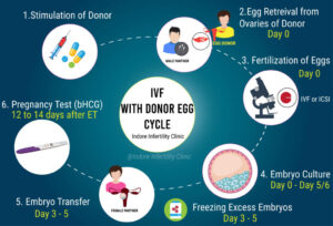 Egg donation